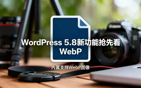 WordPress 5.8新功能抢先看 内置支持WebP图像