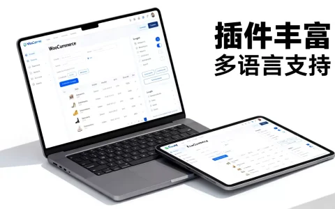 WooCommerce和Ecwid哪个更值得买？跨境电商独立站平台怎么选