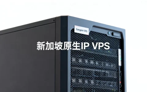 新加坡VPS怎么选？新加坡原生IP VPS推荐