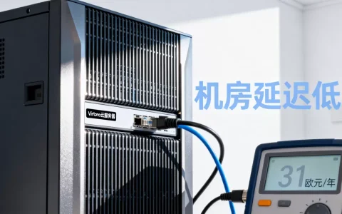 Virtono云服务器31欧元/年值得买吗？云服务器哪个机房延迟低