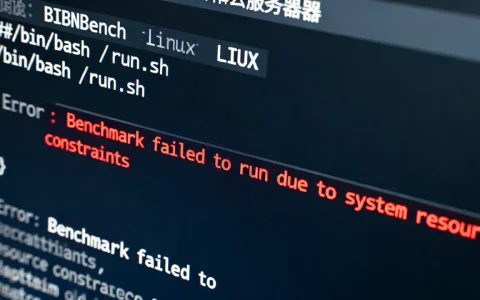Linux云服务器UnixBench跑分脚本为何报错？