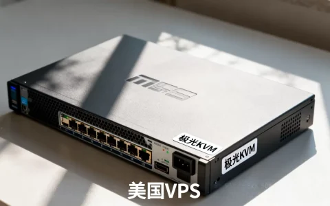 极光KVM双11活动值得入手吗？美国VPS推荐性价比高