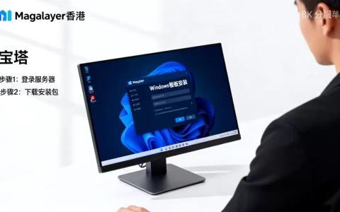 Megalayer香港服务器如何安装宝塔Windows面板？