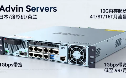 Advin Servers：日本/洛杉矶/荷兰大内存VPS@10G内存起步，4T/8T/16T月流量@1Gbps带宽，低至$7.99/月