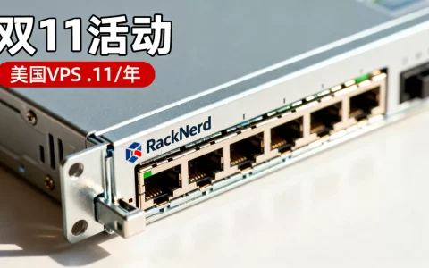 RackNerd双11美国VPS$11.11/年值得买吗，RackNerd双11活动优惠详情