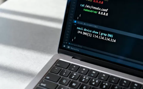 Linux怎么查DNS地址？如何查看本机DNS服务器IP