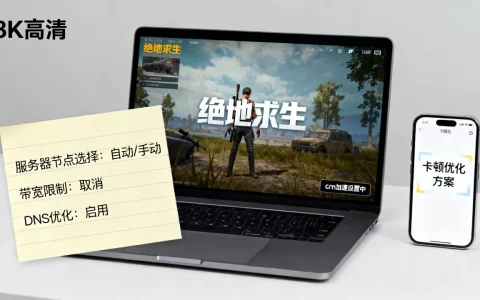cdn加速绝地求生怎么设置？绝地求生卡顿优化方案