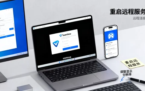 TeamViewer远程连接黑屏怎么解决？远程桌面连接黑屏怎么办
