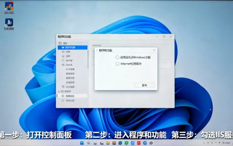 Win11怎么打开IIS管理器，win11开启iis服务详细步骤
