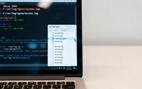 Ubuntu 20.04如何查看Nginx日志？Nginx日志路径在哪
