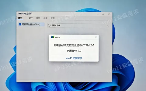 VMware虚拟机怎么启用TPM 2.0？win11安装需要开启TPM吗