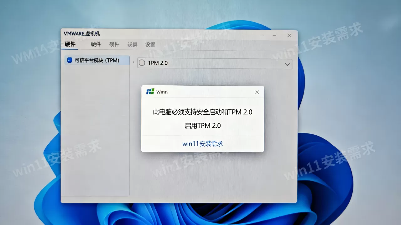 VMware虚拟机怎么启用TPM 2.0?win11安装需要开启TPM吗 VMware虚拟机怎么启用TPM 2.0?win11安装需要开启TPM吗