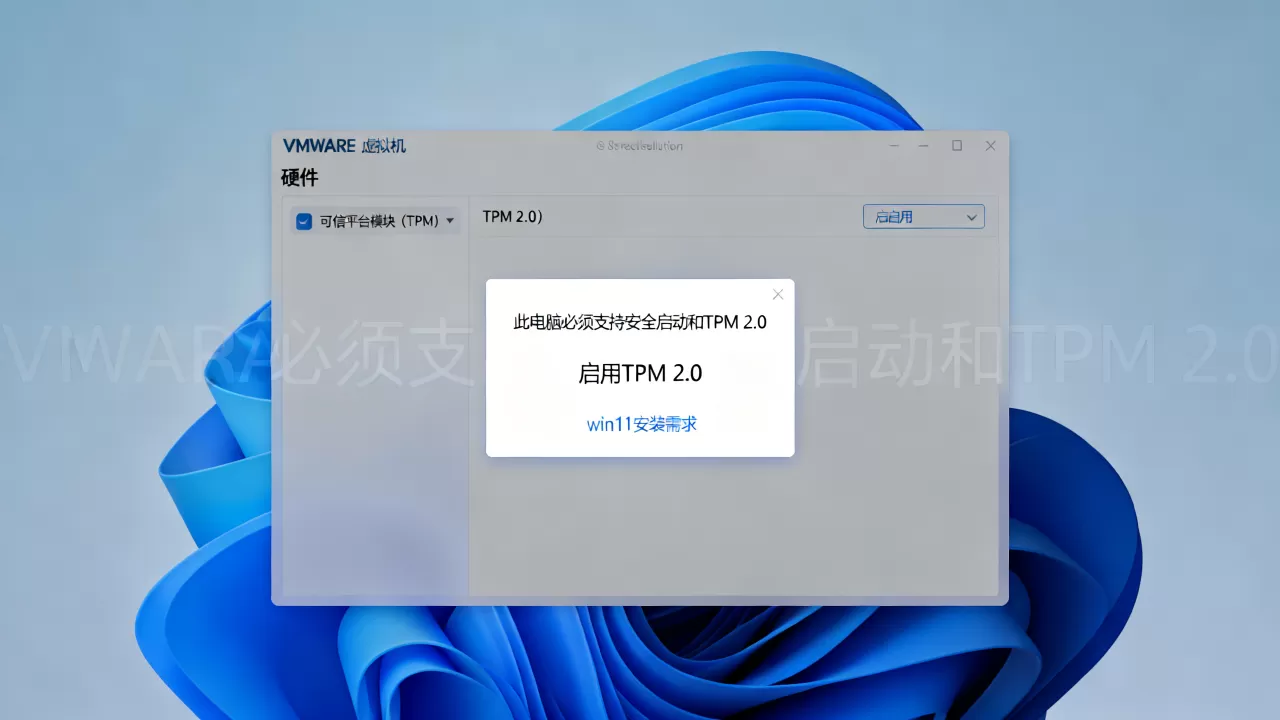 VMware虚拟机怎么启用TPM 2.0?win11安装需要开启TPM吗 VMware虚拟机怎么启用TPM 2.0?win11安装需要开启TPM吗