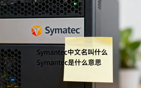 Symantec中文名叫什么 Symantec是什么意思
