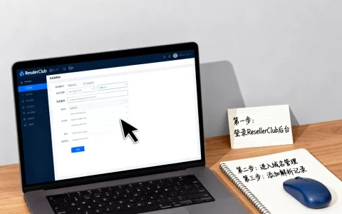 ResellerClub域名怎么解析？域名解析教程