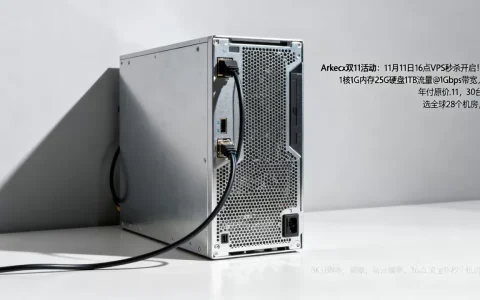 Arkecx双11活动：11月11日16点VPS秒杀开启！1核1G内存25G硬盘1TB流量@1Gbps带宽，年付原价$120只要$11.11，限量30台，可选全球28个机房