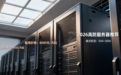 2026年最稳定的高防服务器是哪款？高防服务器租用价格多少