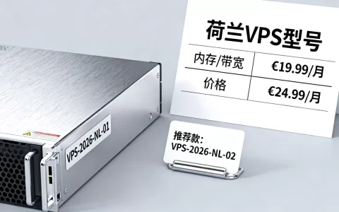 2026年荷兰VPS哪款性价比高？荷兰VPS推荐及价格对比