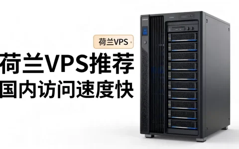 2026年荷兰VPS哪个最便宜？国内访问速度快的VPS推荐