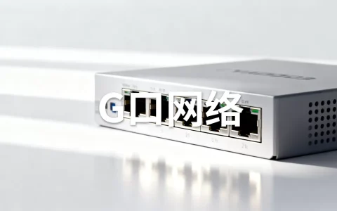 G口网络是什么意思？G口网络是什么意思
