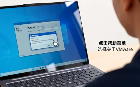 VMware虚拟机序列号怎么查？Windows系统查看VMware序列号方法