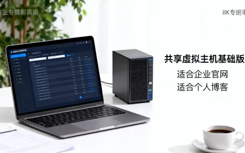 共享虚拟主机基础版好用吗？虚拟主机基础版适合什么网站