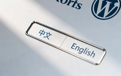WordPress登录界面的语言切换器如何取消