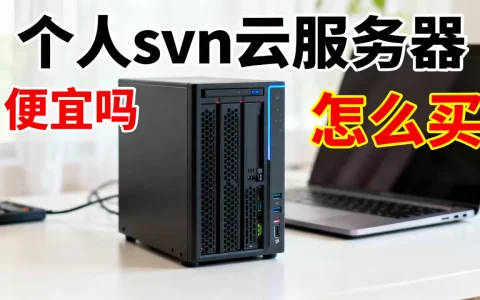 个人svn云服务器便宜吗？个人svn云服务器怎么买