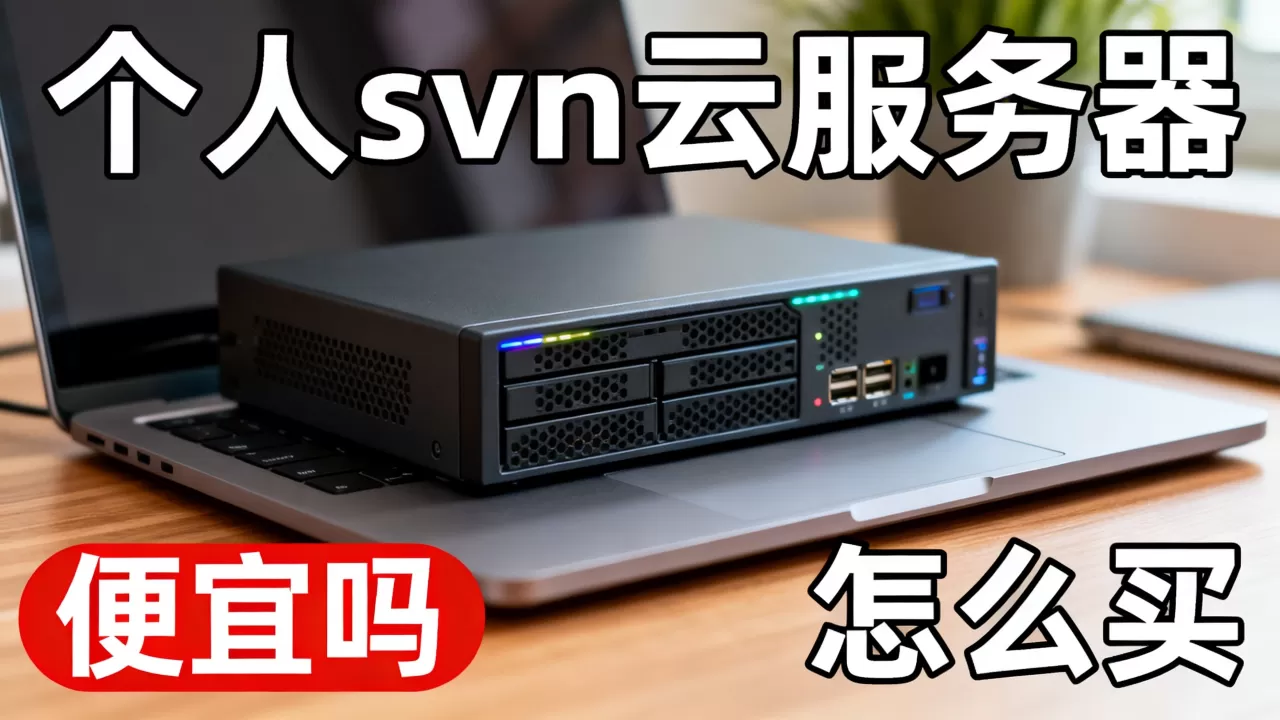 个人svn云服务器便宜吗?个人svn云服务器怎么买 个人svn云服务器便宜吗?个人svn云服务器怎么买
