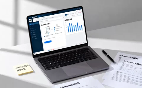 WordPress网站如何使用IndexNow提高SEO优化，IndexNow提交后多久生效