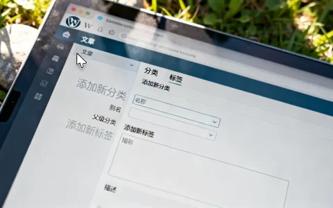 WordPress页面怎么添加新分类和标签？WordPress后台添加新分类