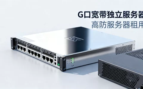 g口宽带独立服务器性能如何？高防服务器租用价格是多少