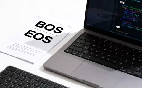 大模型的BOS和EOS是什么？大模型bos eos token区别