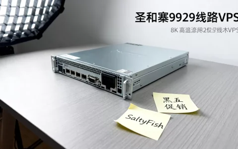 SaltyFish黑五VPS促销力度大吗？圣何塞9929线路VPS优惠