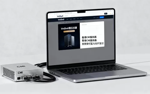 VmShell黑五香港CMI服务器怎么买？支持支付宝USDT支付吗