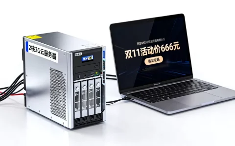 西部数码双112核2G云服务器666元值吗，西部数码云服务器购买攻略