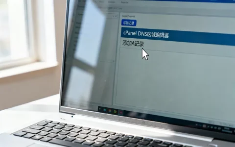 cPanel DNS区域编辑器怎么添加记录？如何添加A记录