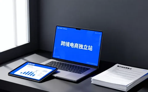 跨境电商独立站到底是什么？跨境电商独立站有哪些优势