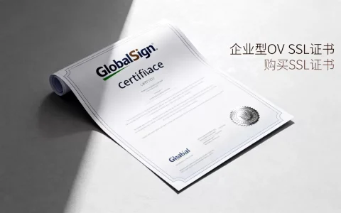 GlobalSign企业型OV SSL证书一年要多少钱？购买SSL证书哪家便宜
