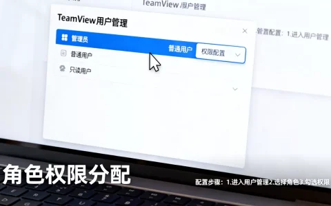 TeamViewer不同角色权限怎么设？如何配置用户管理权限