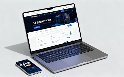 SSDNodes黑五VPS三年仅$201划算吗？日本新加坡KVM VPS推荐