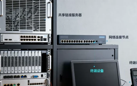 共享链接要启动的服务器是什么？共享链接需要启动服务器吗