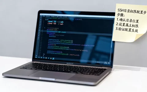 Linux系统SSH目录权限怎么配置？如何设置SSH目录权限