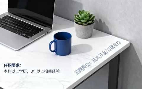 星域cdn 招聘