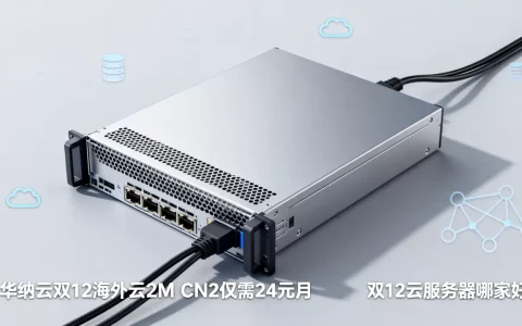 华纳云双12海外云2M CN2仅需24元月，双12云服务器哪家好
