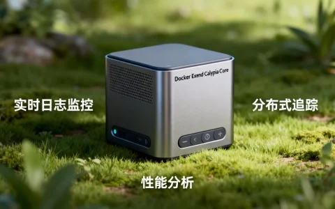 Docker新扩展Calyptia Core的主要功能介绍