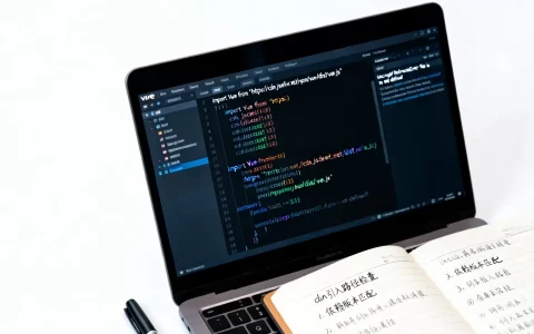 vue引入cdn js报错怎么解决？vue项目引入cdn的正确方法