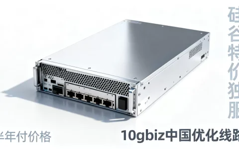 硅谷特价独服怎么买？10gbiz中国优化线路半年付价格
