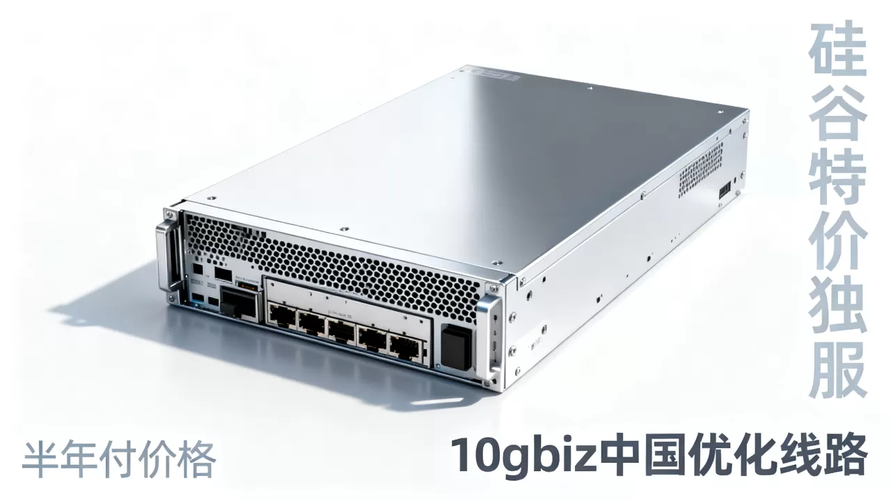硅谷特价独服怎么买？10gbiz中国优化线路半年付价格