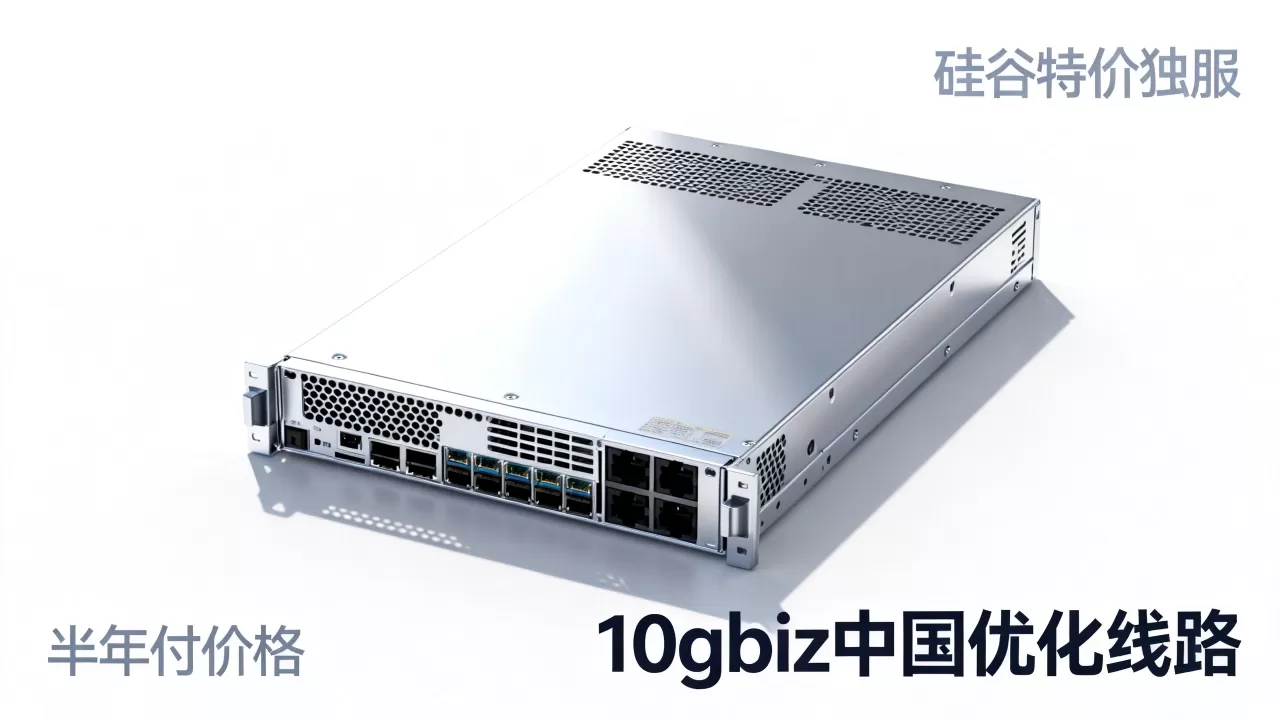 硅谷特价独服怎么买？10gbiz中国优化线路半年付价格
